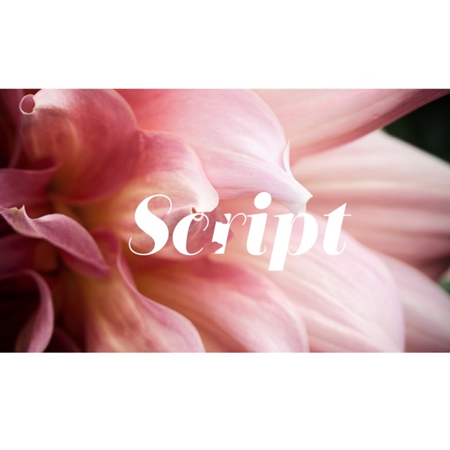 Poshmark banner for @script